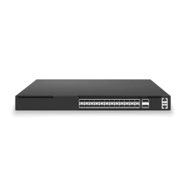 L3 Switch 24x25G SFP28 + 2x100G QSFP28 | CX202P-24Y-M-H
